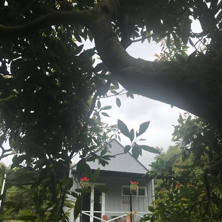 Paradise Grove Уангамата Екстериор снимка