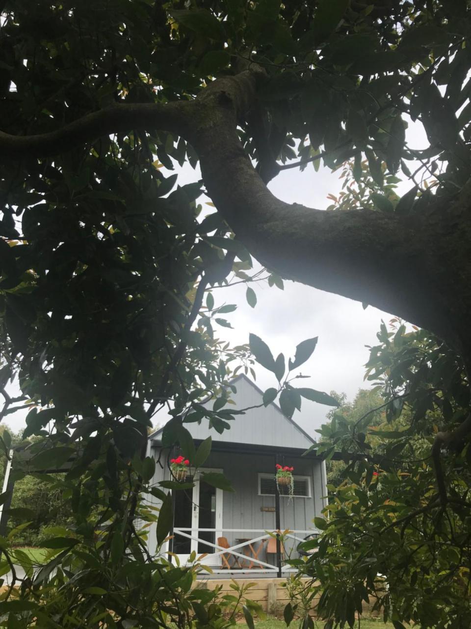 Paradise Grove Уангамата Екстериор снимка