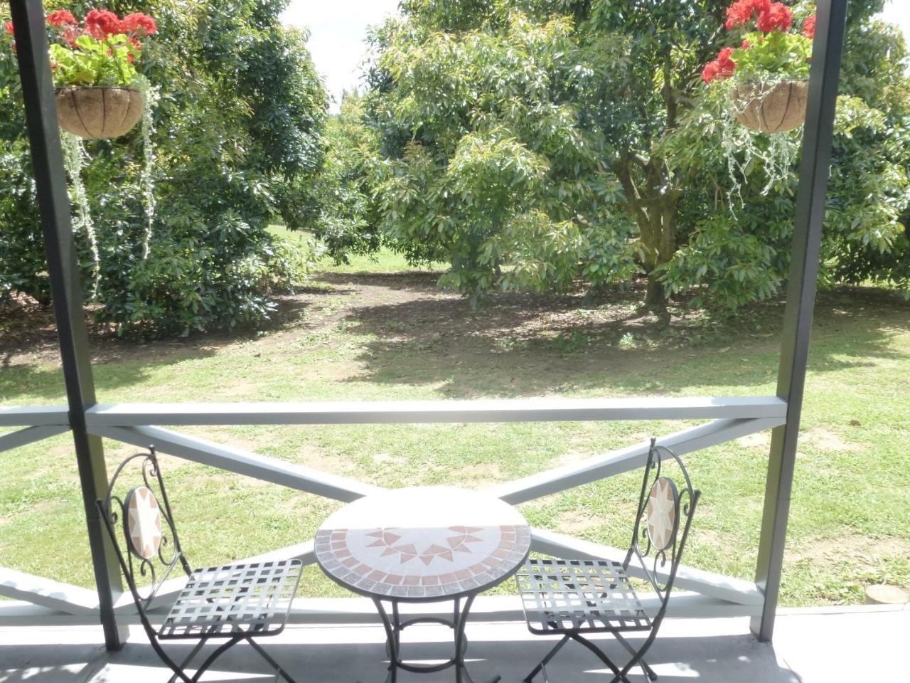 Paradise Grove Уангамата Екстериор снимка